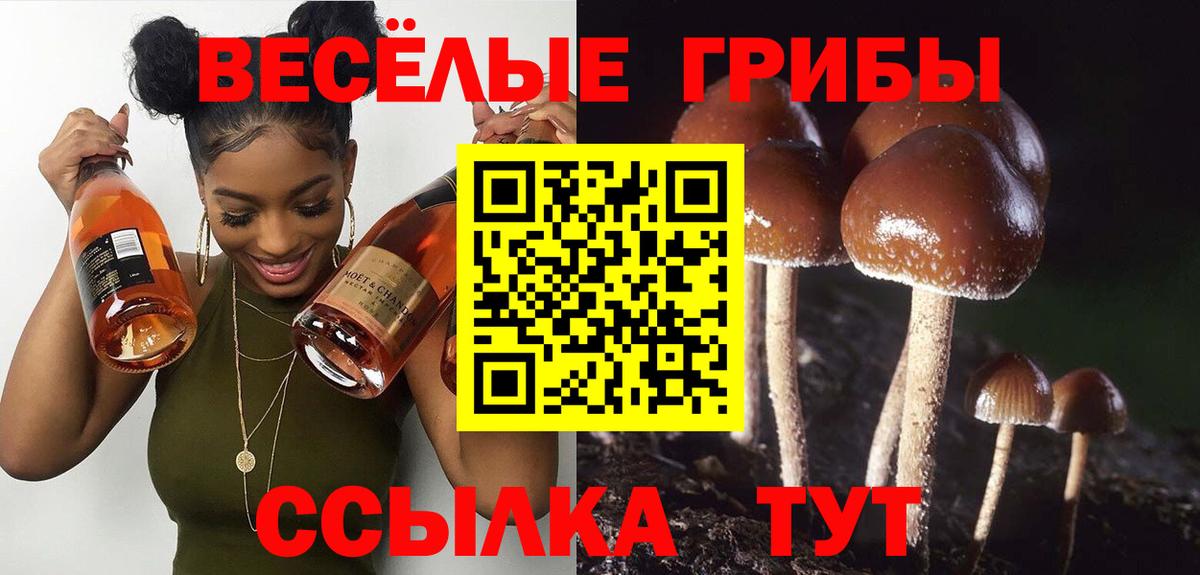 Псилоцибиновые грибы Cubensis  даркнет сайт  Вход с VPN  Егорьевск  Псилоцибиновые грибы Cubensis 